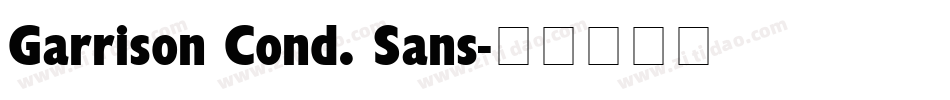 Garrison Cond. Sans字体转换